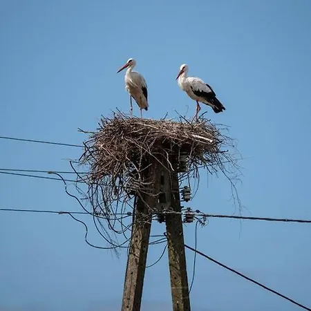 Summer House In D Browa By The Sea Tatil Evi